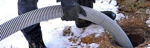 How Kids and Pets Impact Your Septic System