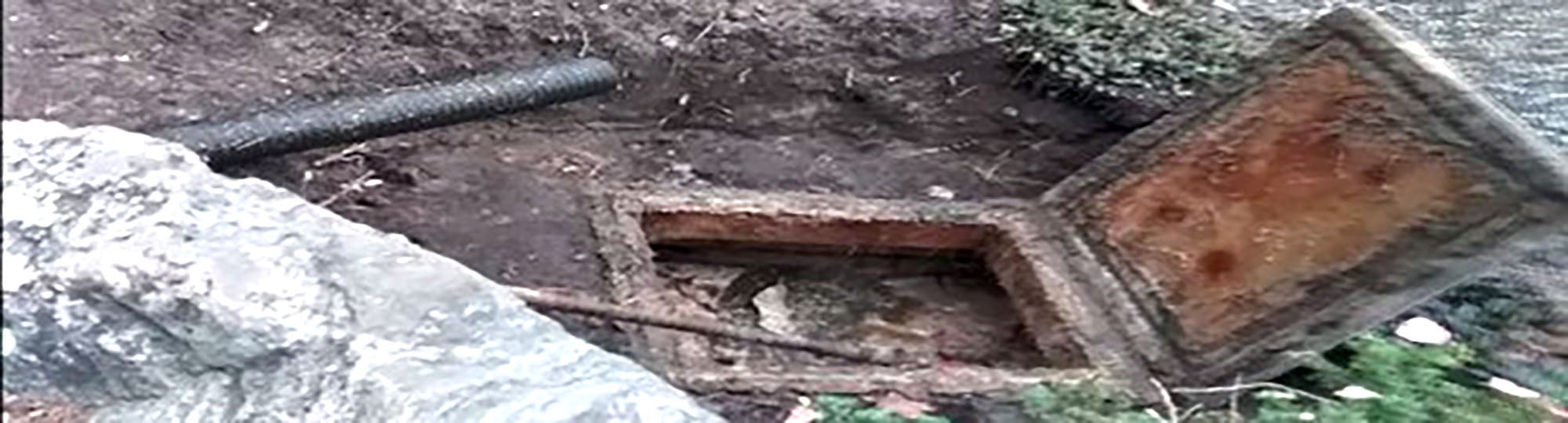 Buried old septic tank cap in outdoor setting with exposed roots