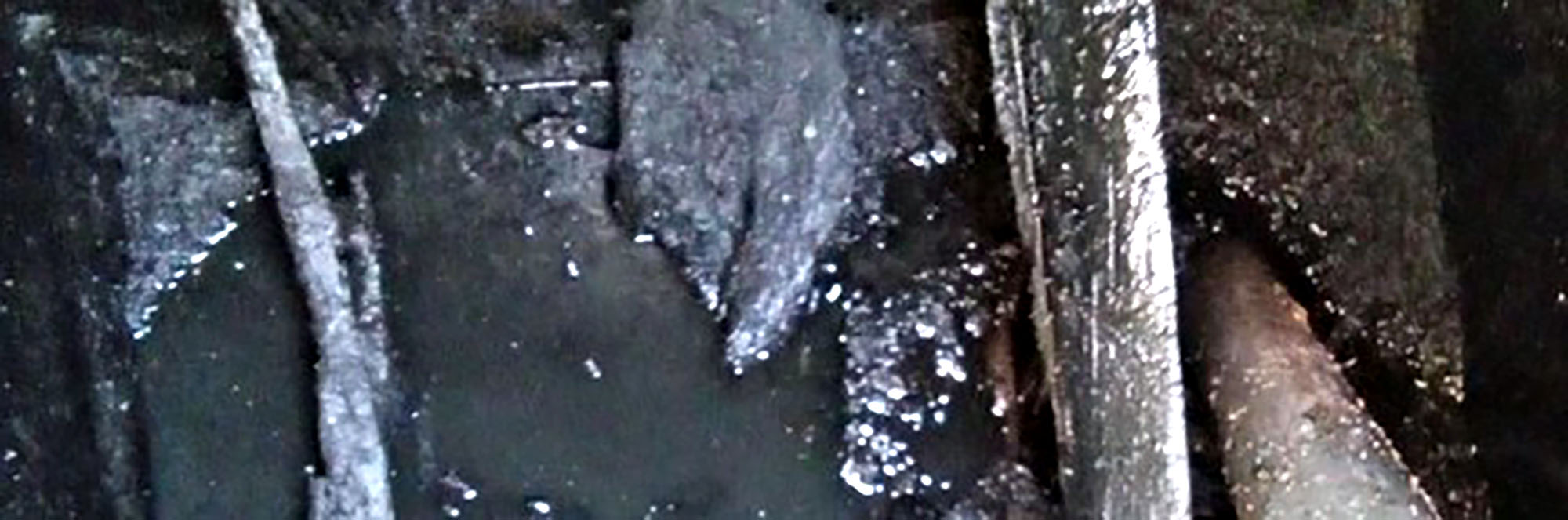 Residential black sludge inside septic tank.