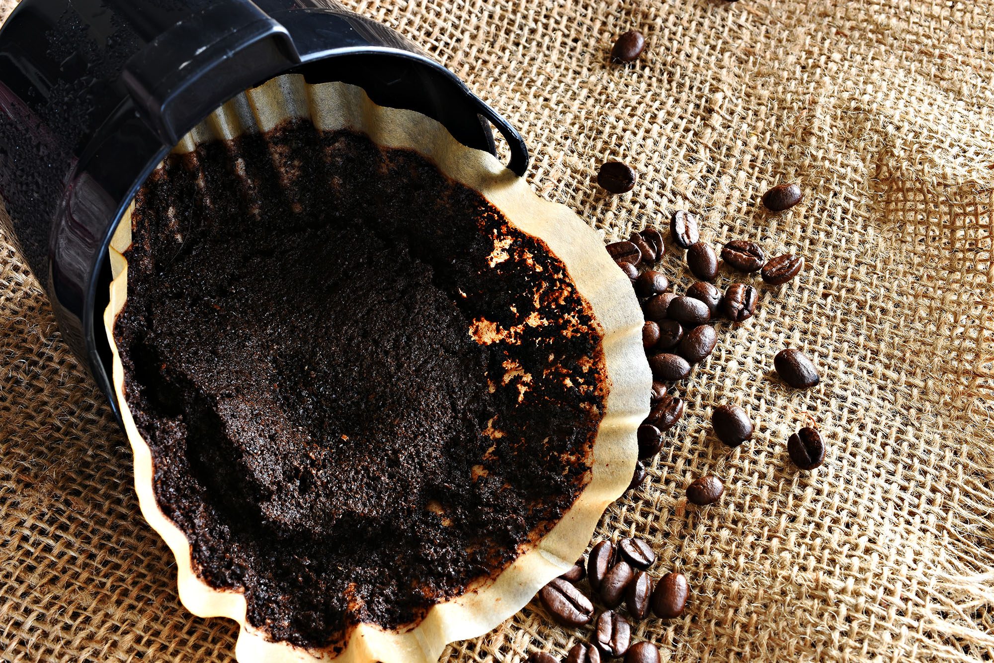Used coffee grounds in a filter with scattered beans on burlap
